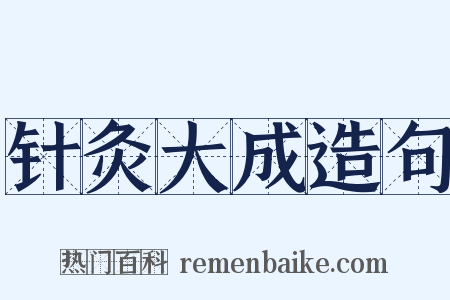 针灸大成造句是什么意思的图片